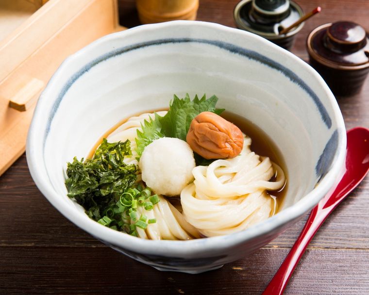 丼もの うどん てんてこの梅おろしうどん