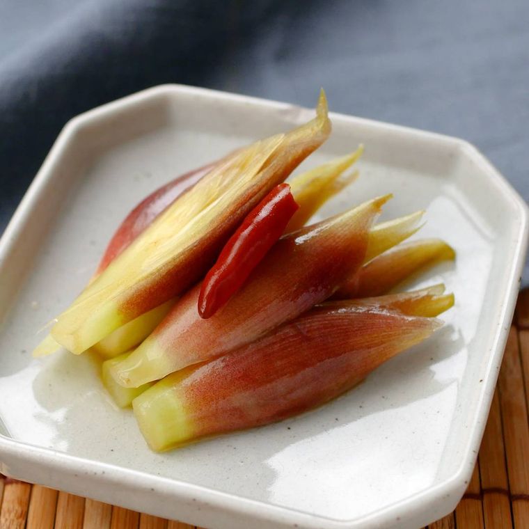 四角い豆皿に盛られたみょうがの浅漬け