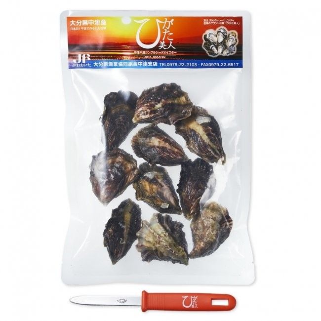 おうちで生牡蠣!ブランド牡蠣「ひがた美人」の冷凍販売がスタートの画像