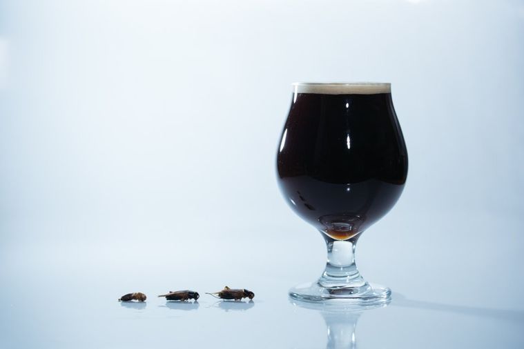 800杯以上が完売!コオロギを原料にした「コオロギビール」が先行販売を開始の画像