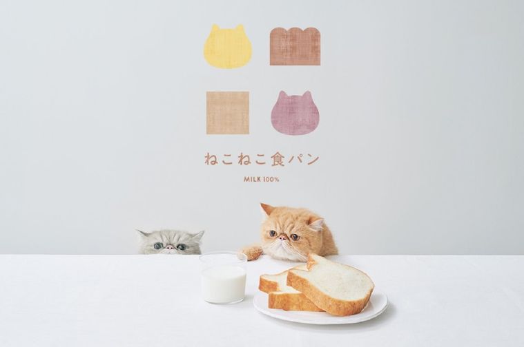 ねこねこ食パンの食パンとねこ2匹