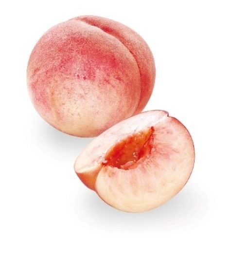 芳醇な白桃とまろやかなミルクの味わい。ハーゲンダッツに「白桃」が新登場!の画像