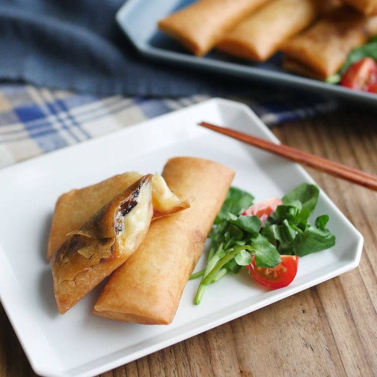 白い皿の上にのったとろとろなすチーズ春巻き