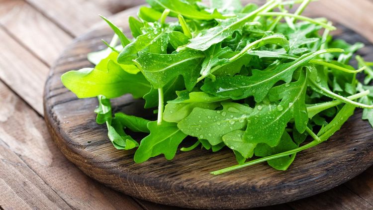 ベランダ菜園におすすめの野菜 ハーブ 1 9月は九条ねぎ ルッコラを植えよう 3ページ目 Macaroni