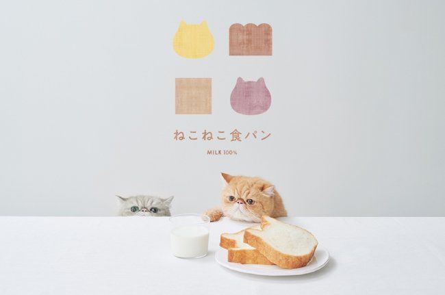 「ねこねこ食パン」のイメージ画像