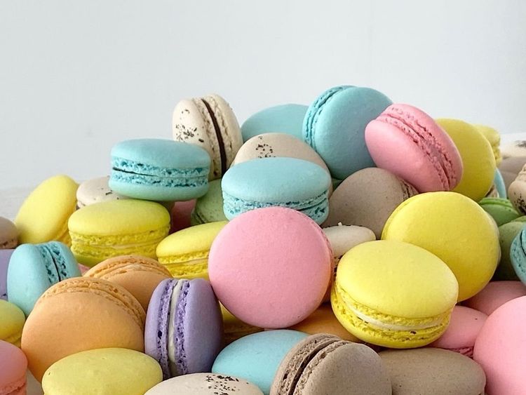 綺麗に焼くコツを大公開！マカロンの世界【偏愛トーーク vol.26