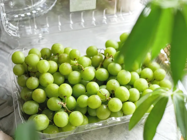 テーブルに置かれたグリーンシードレスグレープのパッケージ開封後