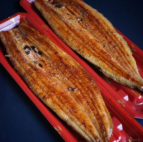 実は今が旬 スーパーの鰻を10倍おいしく食べる方法 Macaroni