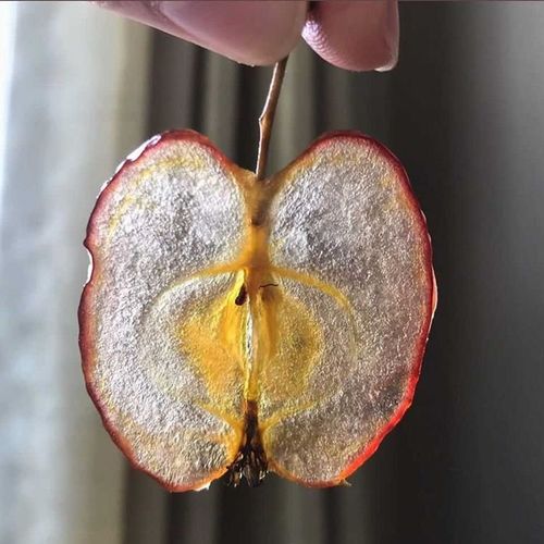 最新版りんご飴「#クリスタルポム」の作り方。ケーキやツリーの飾りに 