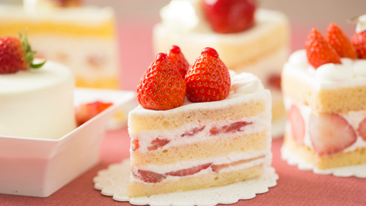 日本人の食事摂取基準 年版