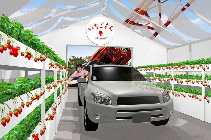 東京タワー前で車に乗りながらいちご狩り!「いちごさんドライブスルー」が2日間限定で開催の画像