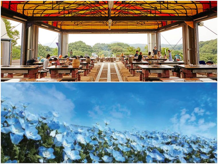 こうべアグリパークBBQスペースとネモフィラ