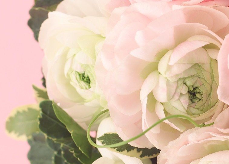 2 14は花を贈ろう 青山フラワーマーケットに聞く フラワーバレンタイン の楽しみ方 2ページ目 Macaroni