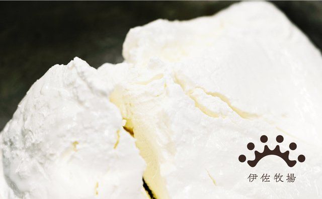 Makuakeで先行販売中!九州の素材にこだわって作られた「九州チーズタルト」が新登場の画像