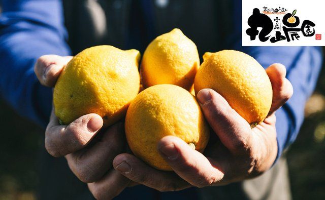 Makuakeで先行販売中!九州の素材にこだわって作られた「九州チーズタルト」が新登場の画像