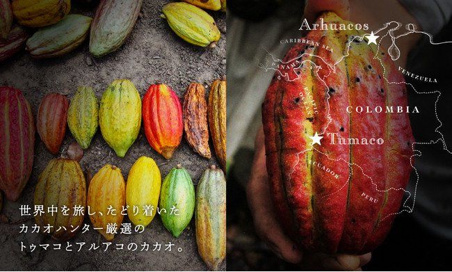 ふんわりチョコの濃厚モンブラン。スシローで「カカオ堪能ショコラアイスモンブラン」の販売がスタートの画像