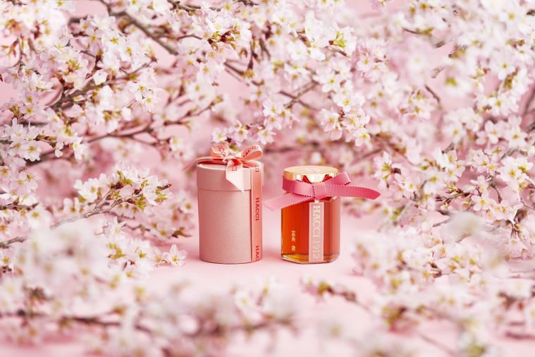 桜の開花時期にしか採蜜できない稀少なはちみつ。HACCIから「テーブルハニー 国産 桜」が登場の画像