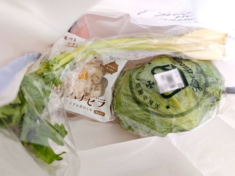 エコバッグスナップ収納 シンプルロゴのなかに野菜を入れている