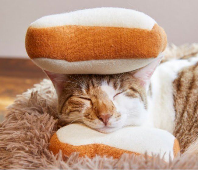 サブウェイ史上初!4月1日限定「ほっこり猫サンド」が登場、秘伝の作り方も教えますの画像
