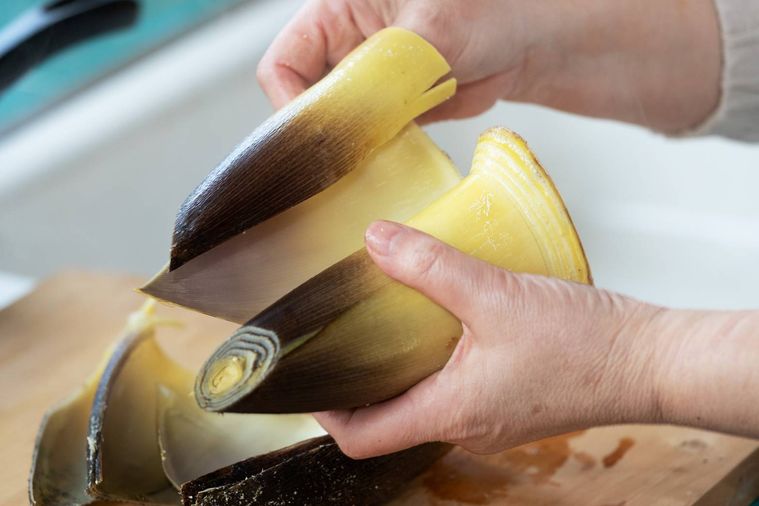 ゆでたたけのこの皮を剥いているところ