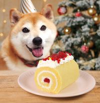 犬猫用いっしょにSmile Switchドッグのロールケーキ