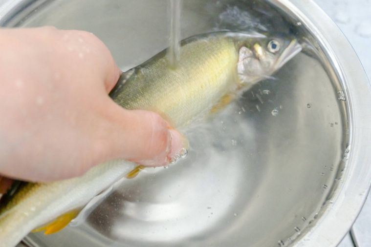 鮎を流水で洗う様子