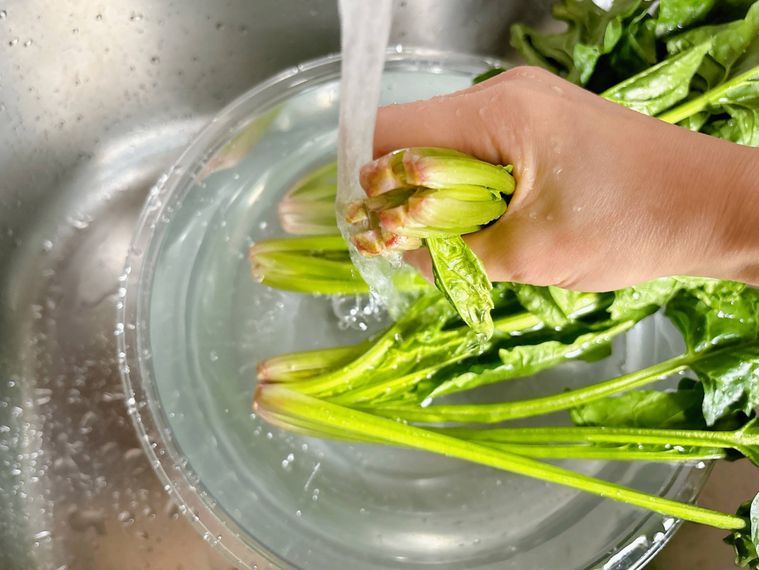 ほうれん草の根元に流水を当てる様子