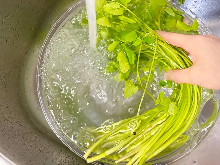 せりを流水で洗う様子