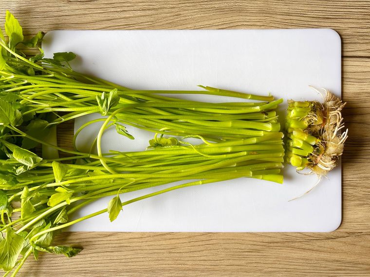 根元を切ったせり