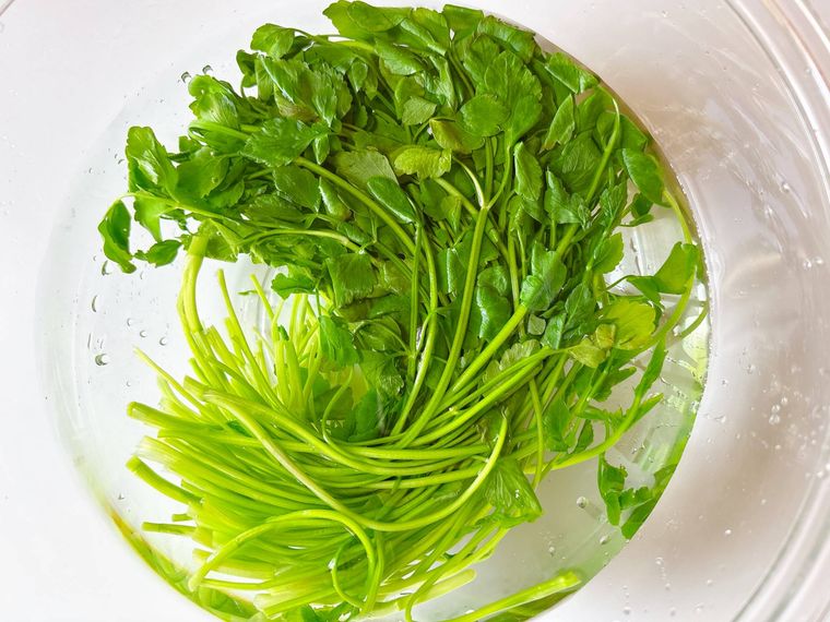せりをボウルに入った水にさらす様子