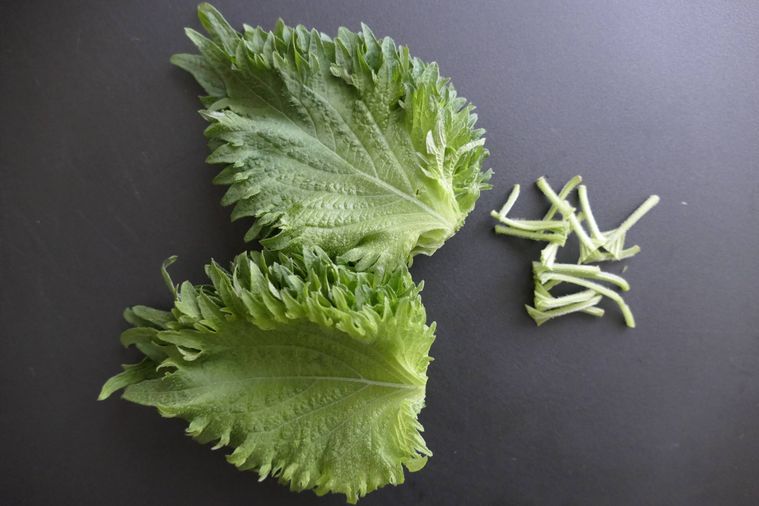 大葉の軸を切り落とした様子