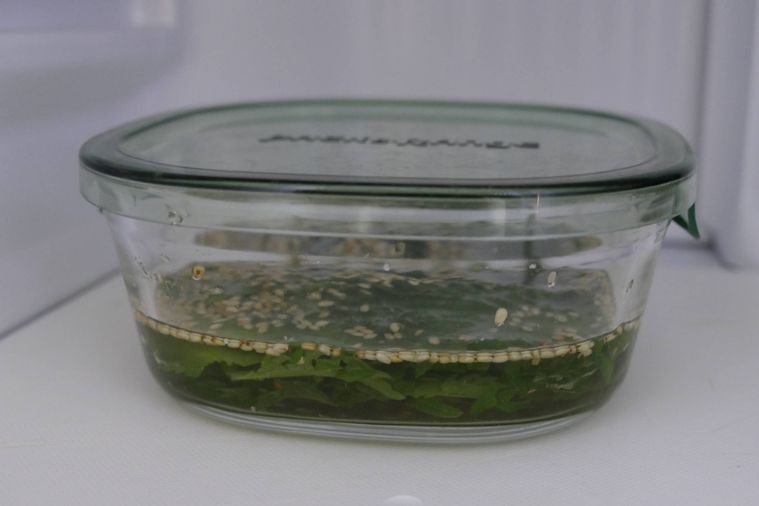 冷蔵庫に大葉漬けを置く様子