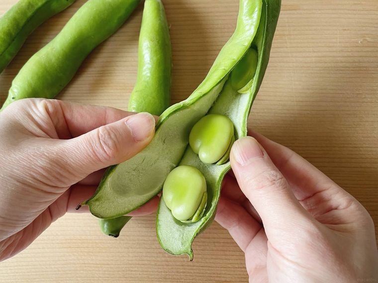 そら豆をさやから出す様子