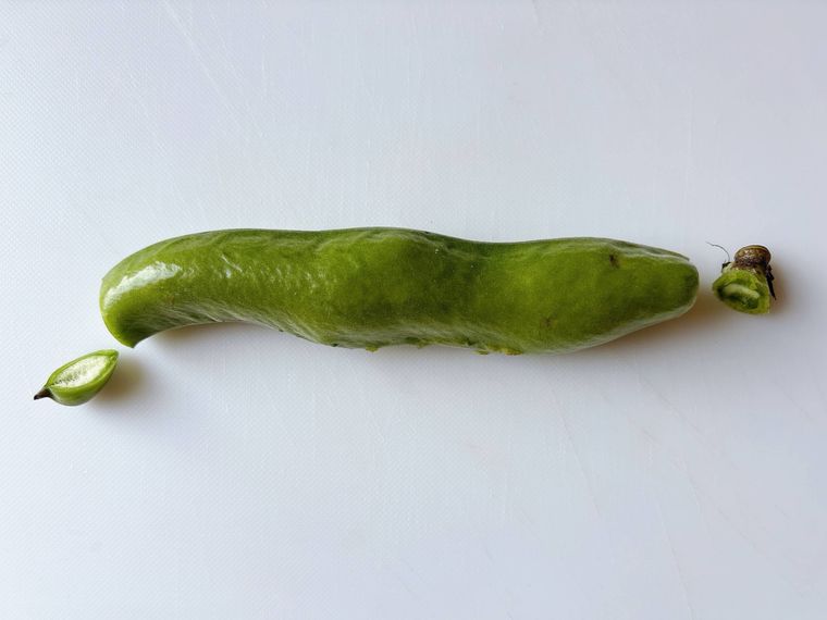 両端を切ったそら豆