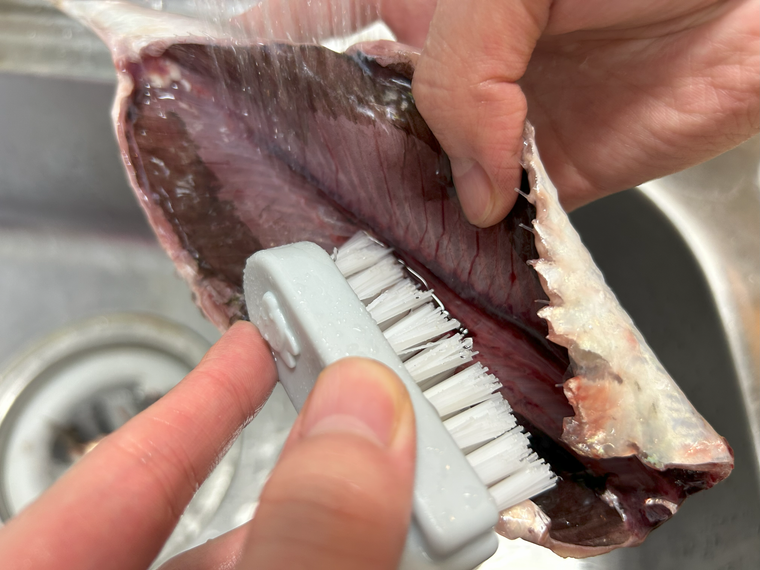 ブラシで生ニシンを洗い流している様子