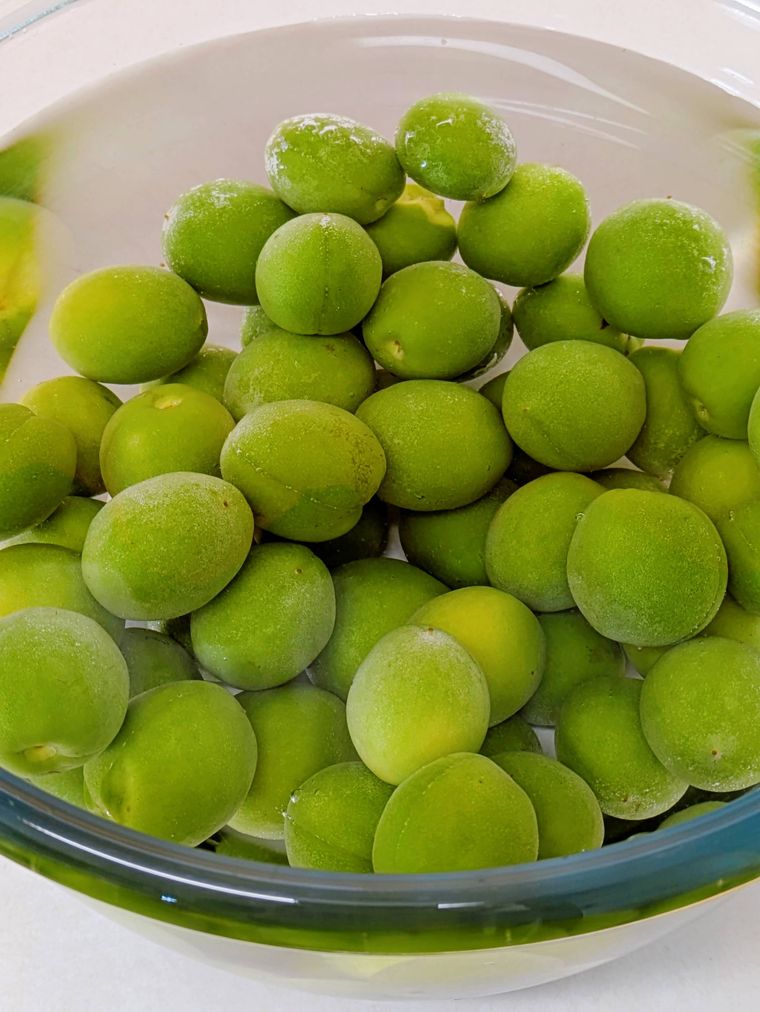 ボウルに入った梅と水