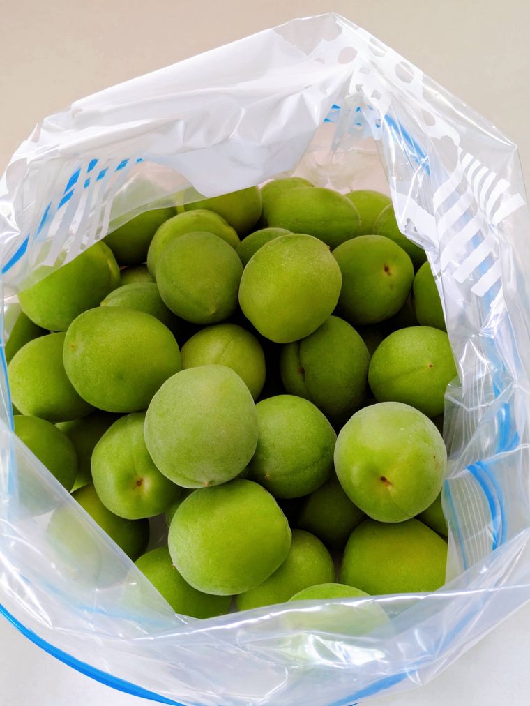 ジッパー付きの保存袋に入れた梅