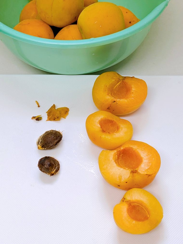 種を取り出したあんずと種