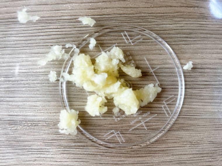 ボウルにすりおろしたにんにくを入れた様子