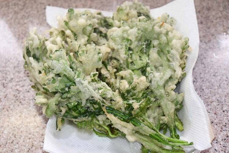 バットに敷いたキッチンペーパーに乗った春菊の天ぷら
