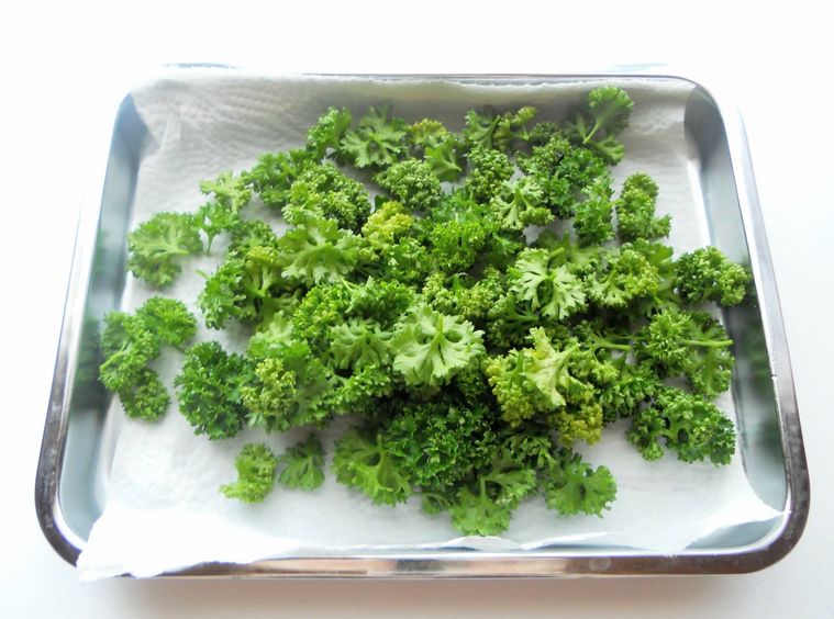 キッチンペーパーにのせて、水分を取っているパセリ