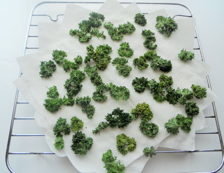 網の上にのせ、冷ましているパセリ