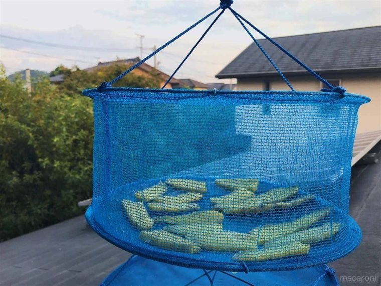 さつまいもを干網に入れて干している様子