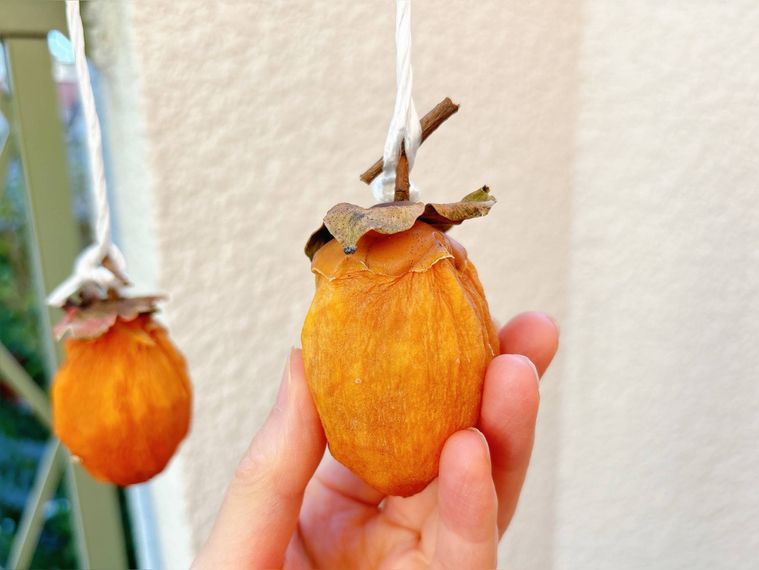 干し柿を軽く揉む様子