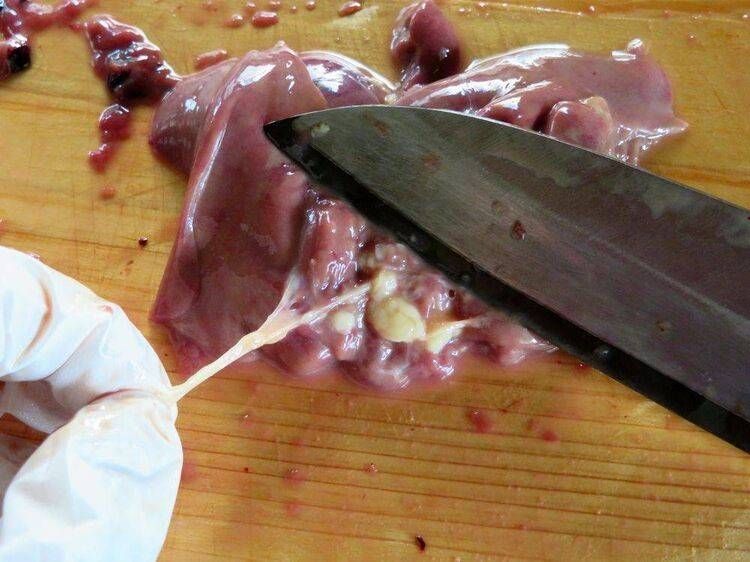 レバーは水で洗って、筋を取ります。白いものが筋です。包丁と手を使って、切らないように取り除きます。