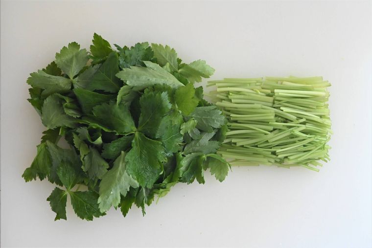 葉と茎に分かれた三つ葉