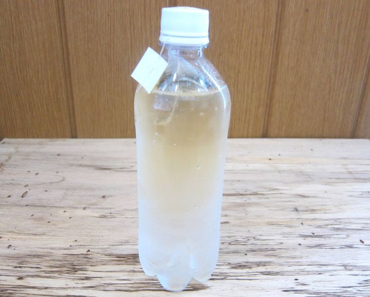 ティーバッグが入ったペットボトル