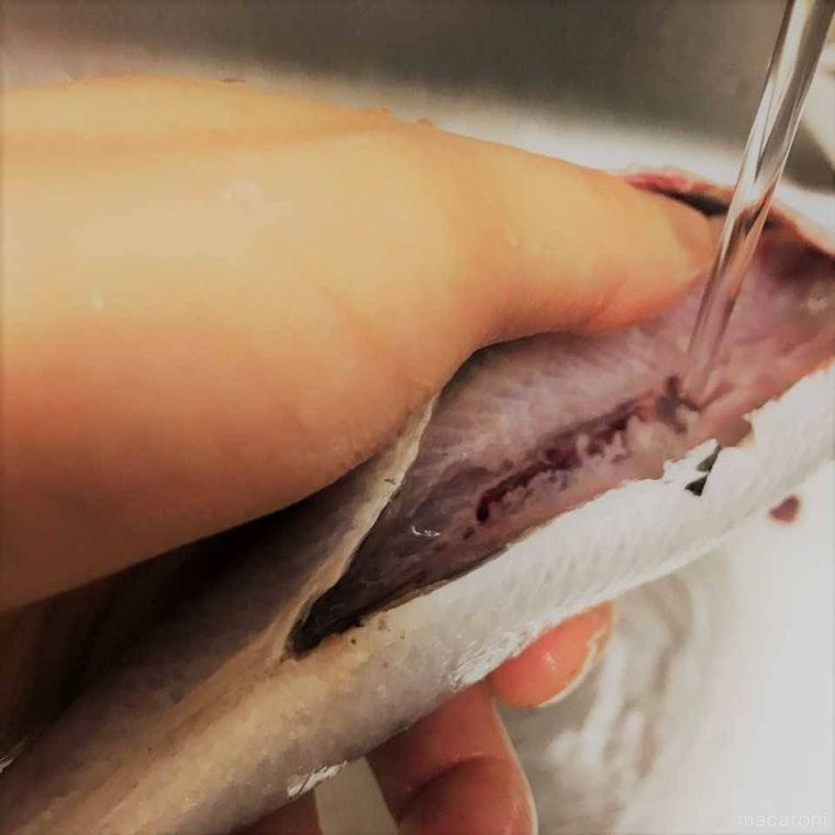 いわしの内臓を洗っている様子