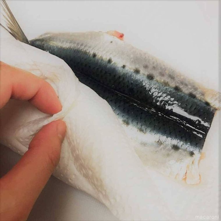 いわしの水分をふき取っている様子