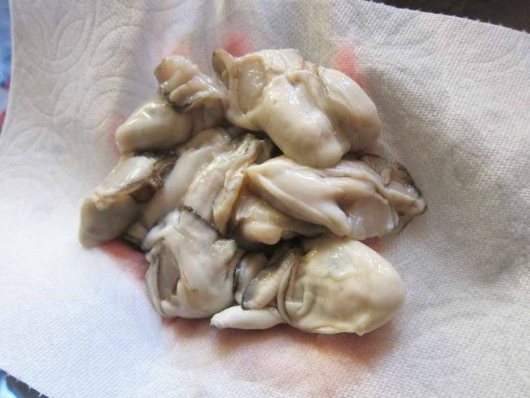 キッチンペーパーにのせた牡蠣